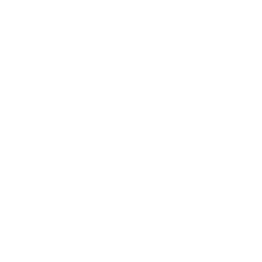 RadicalMuze Logo